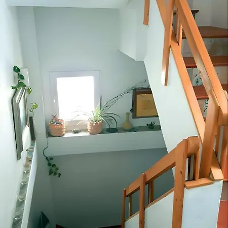 Holiday home Casa Independiente En Zona Centrica En Conil